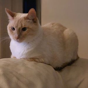 Meet your Posher, Becky